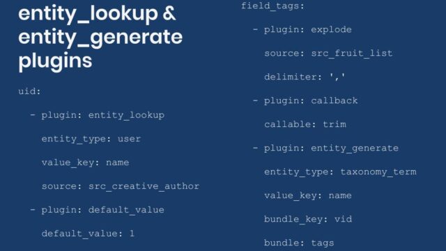Example entity_lookup and entity_generate plugin configuration
